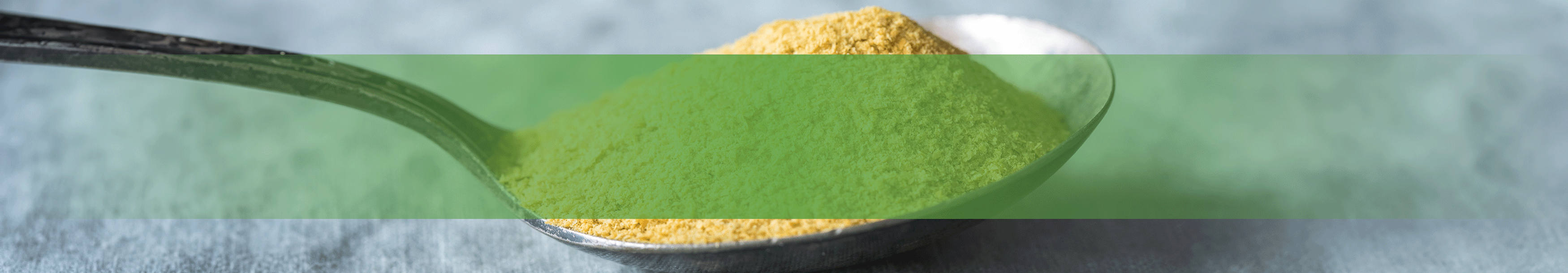 Levadura Nutricional Sin Fortificar